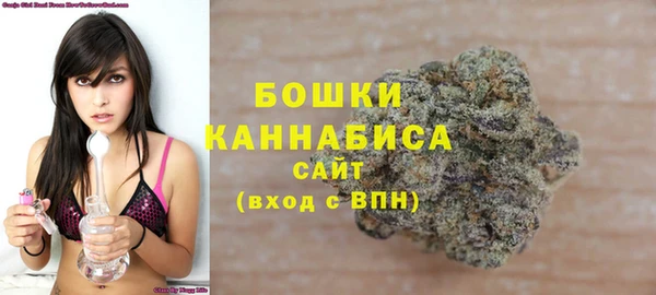 трава Арсеньев