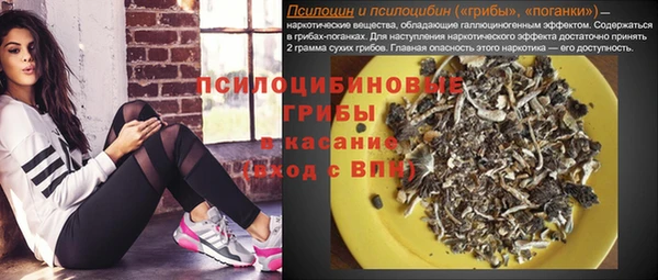 тгк Армянск