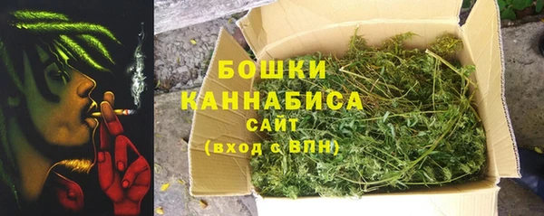 трава Арсеньев