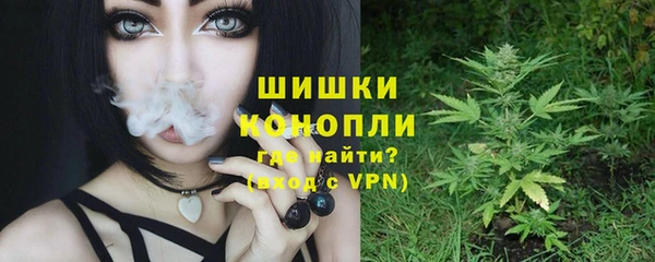 трава Арсеньев
